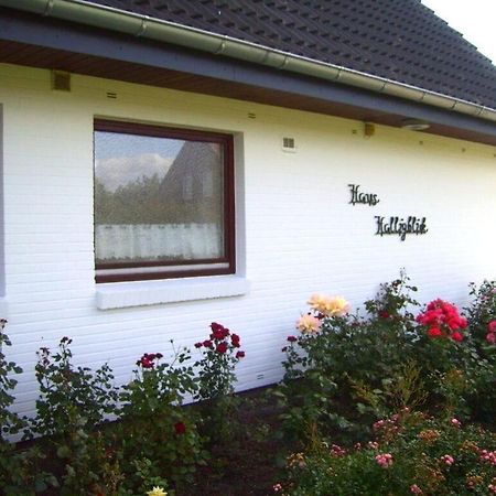 Hooge In The Haus Halligblick Dagebüll Dış mekan fotoğraf